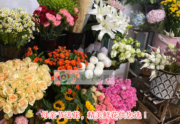 2024抚州宜黄县母亲节送花,抚州宜黄县精美鲜花供您选!